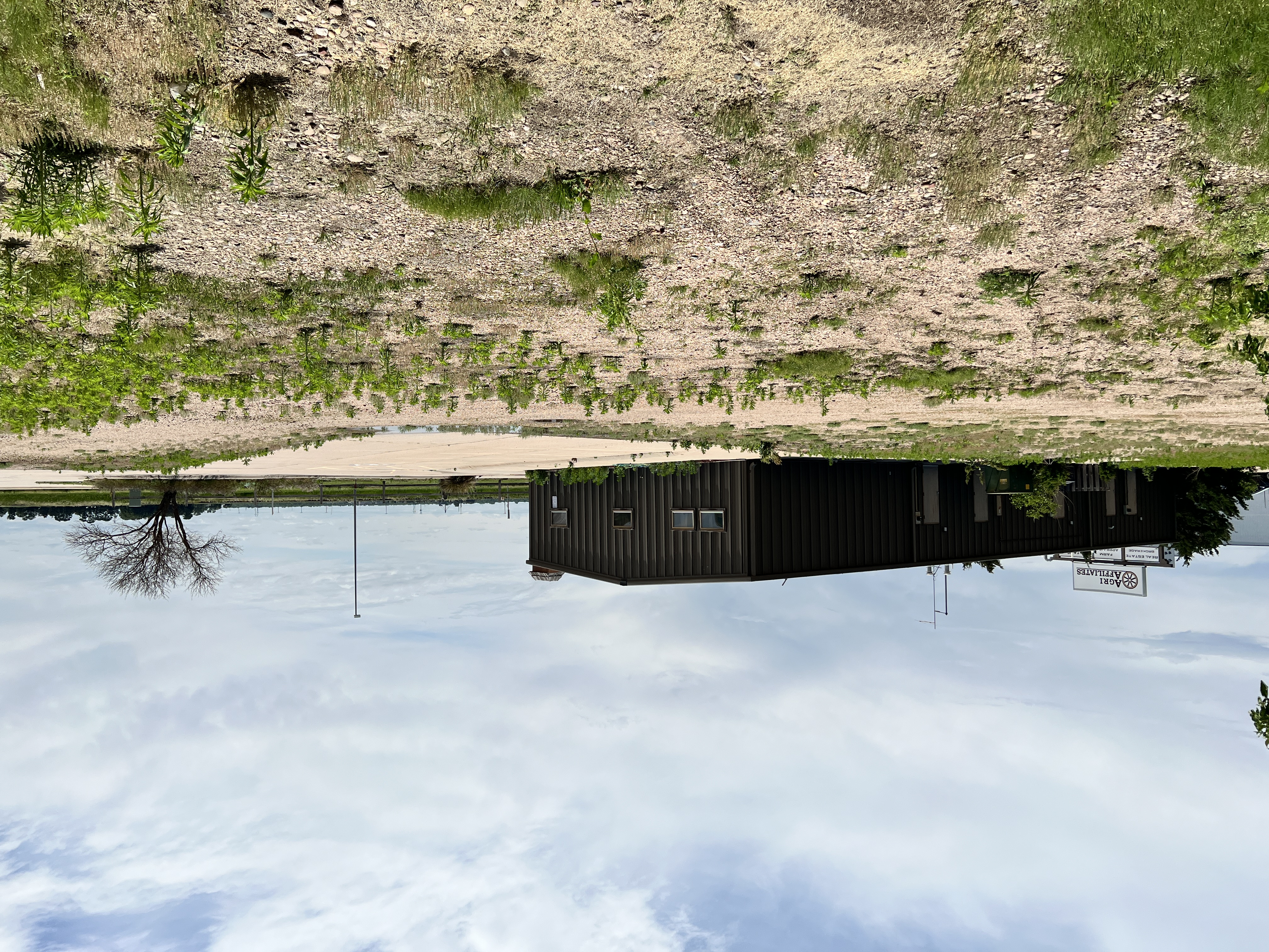 Rear Site